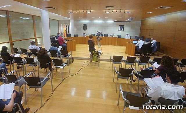 Pleno ordinario junio 2020 - 4