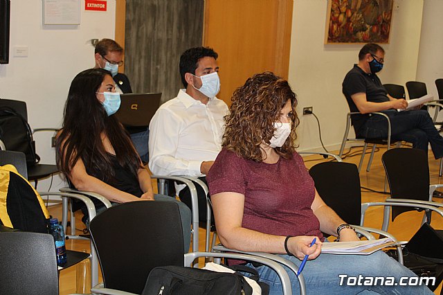 Pleno ordinario junio 2020 - 17