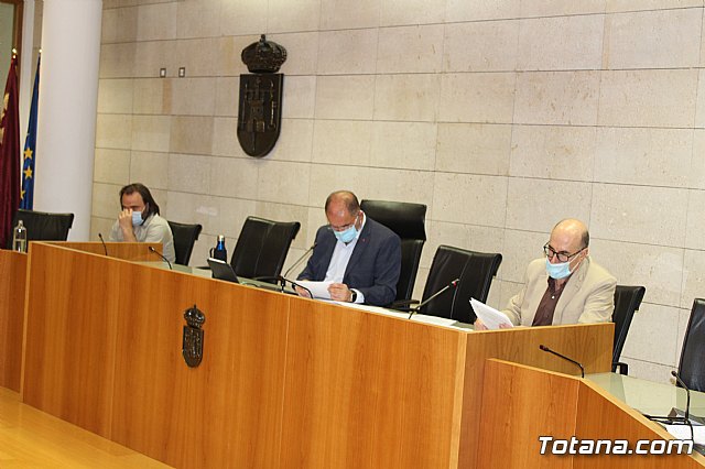 Pleno ordinario junio 2020 - 19