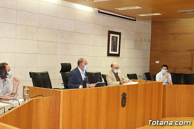 Pleno ordinario junio 2020 - 21