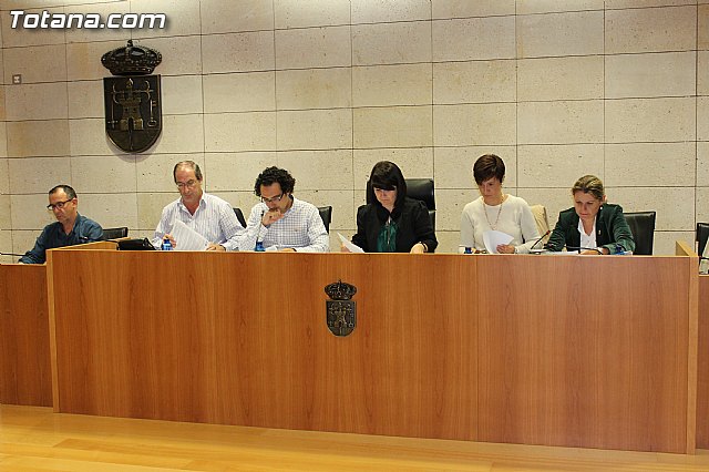 Pleno ordinario octubre 2012 - 2