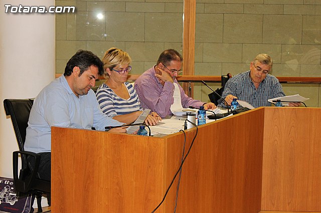 Pleno ordinario octubre 2012 - 4