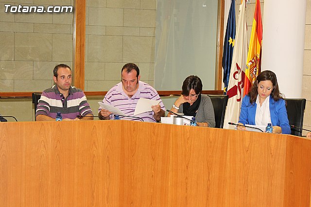 Pleno ordinario octubre 2012 - 5