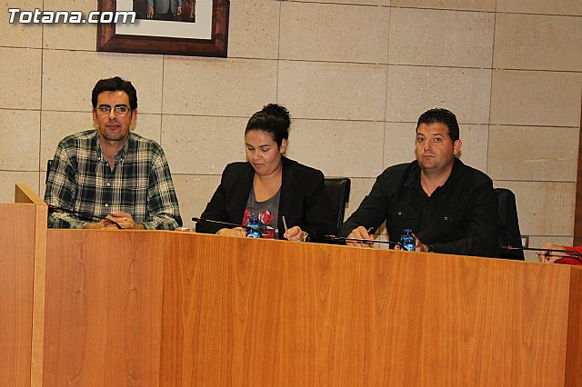 Pleno ordinario octubre 2012 - 6