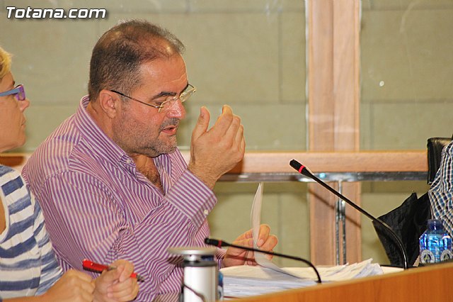 Pleno ordinario octubre 2012 - 12