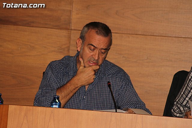 Pleno ordinario octubre 2012 - 13
