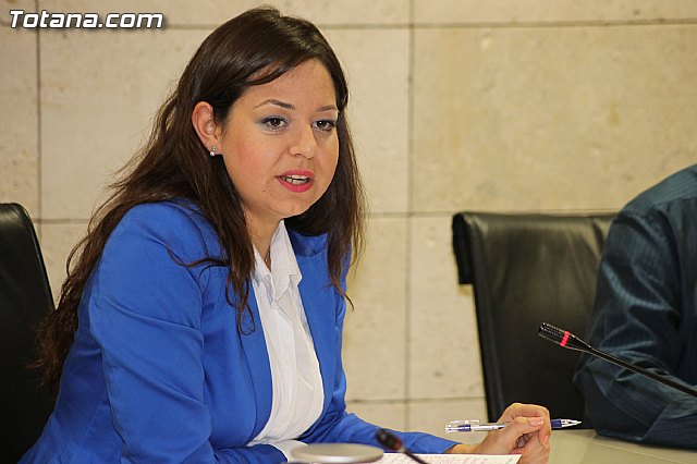 Pleno ordinario octubre 2012 - 14