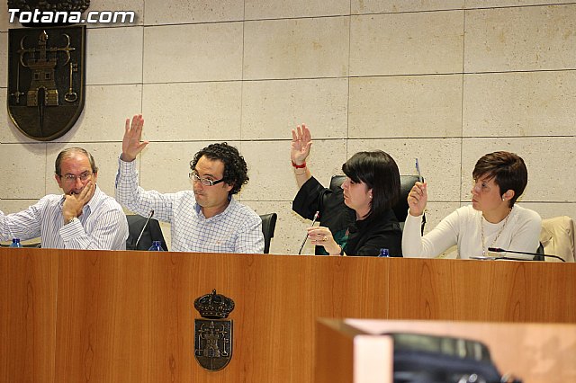 Pleno ordinario octubre 2012 - 15