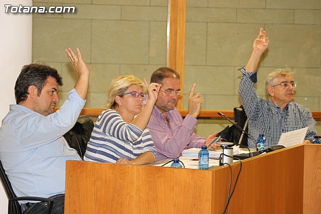 Pleno ordinario octubre 2012 - 17