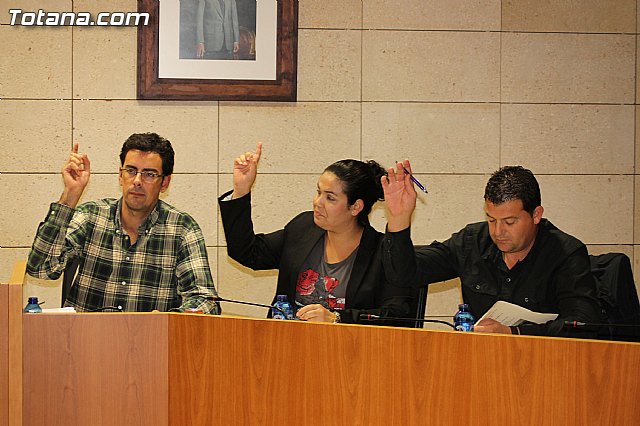 Pleno ordinario octubre 2012 - 18