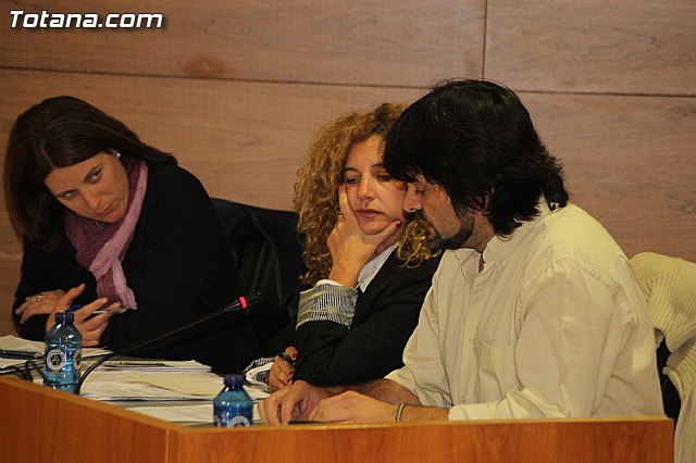 Pleno ordinario octubre 2012 - 24