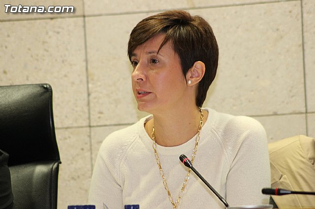 Pleno ordinario octubre 2012 - 26