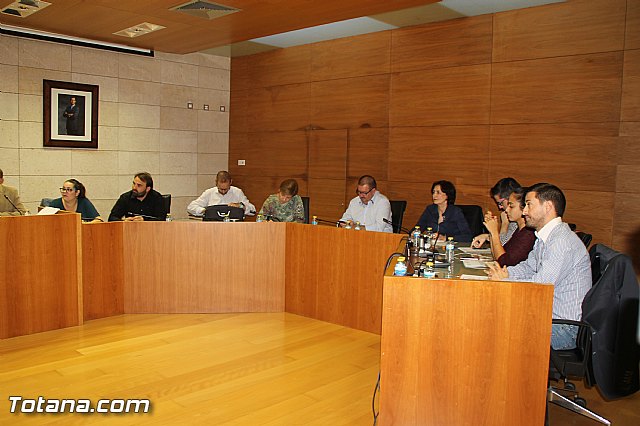 Pleno ordinario octubre 2016 - 4