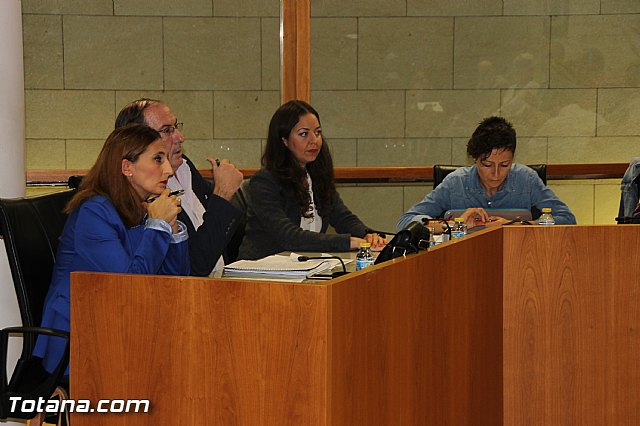 Pleno ordinario octubre 2016 - 7