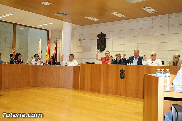 Pleno ordinario octubre 2016 - 13