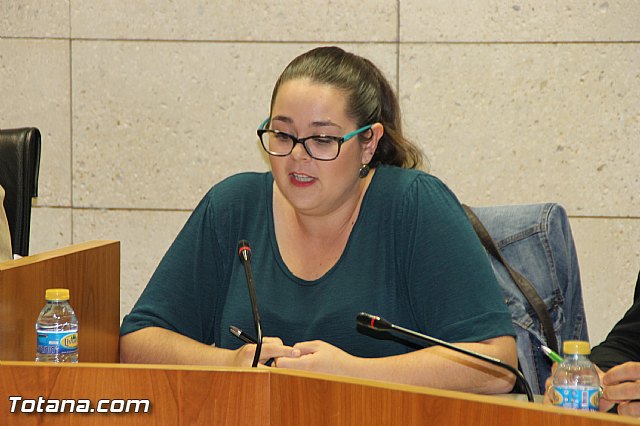 Pleno ordinario octubre 2016 - 23