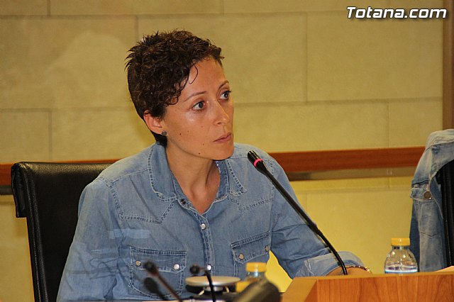 Pleno ordinario octubre 2016 - 28