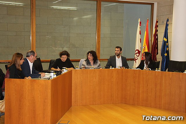 Pleno ordinario Octubre 2018 - 3