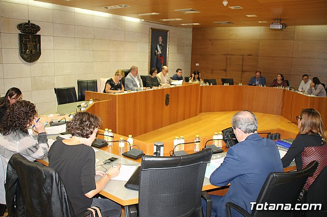 Pleno ordinario Octubre 2018 - 7