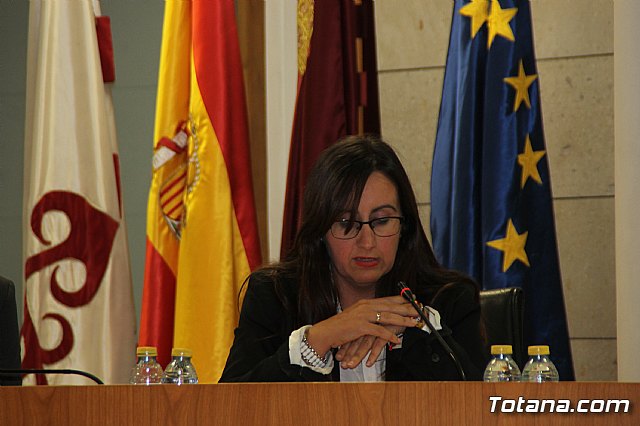 Pleno ordinario Octubre 2018 - 13