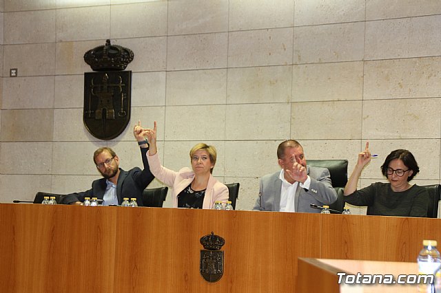 Pleno ordinario Octubre 2018 - 14