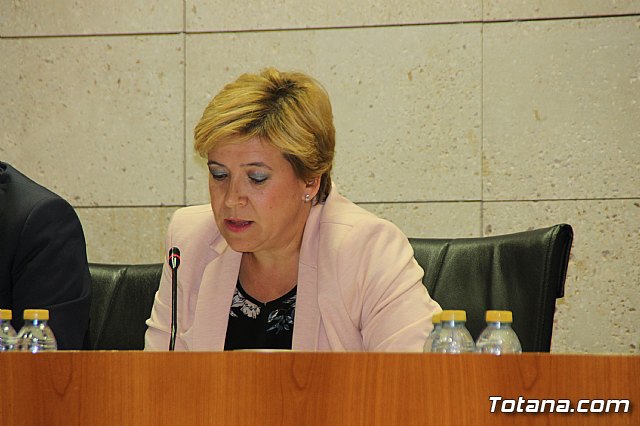 Pleno ordinario Octubre 2018 - 18