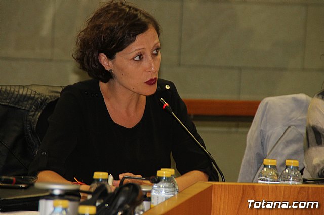 Pleno ordinario Octubre 2018 - 19