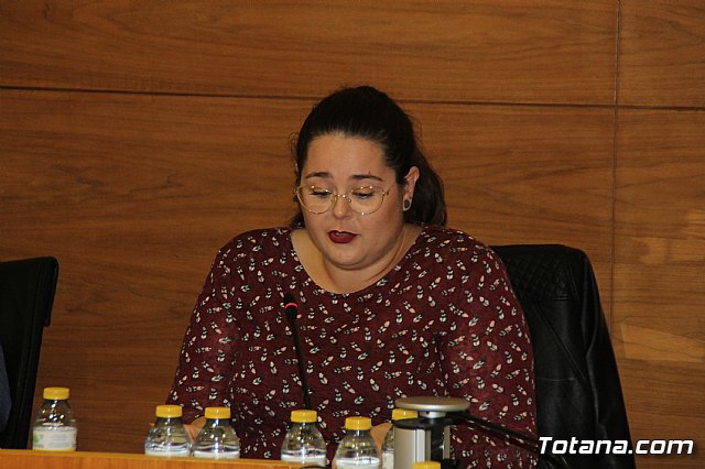 Pleno ordinario Octubre 2018 - 23