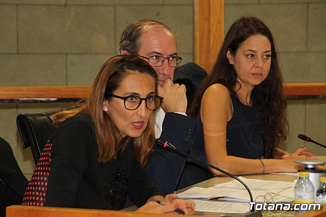 Pleno ordinario Octubre 2018 - 30