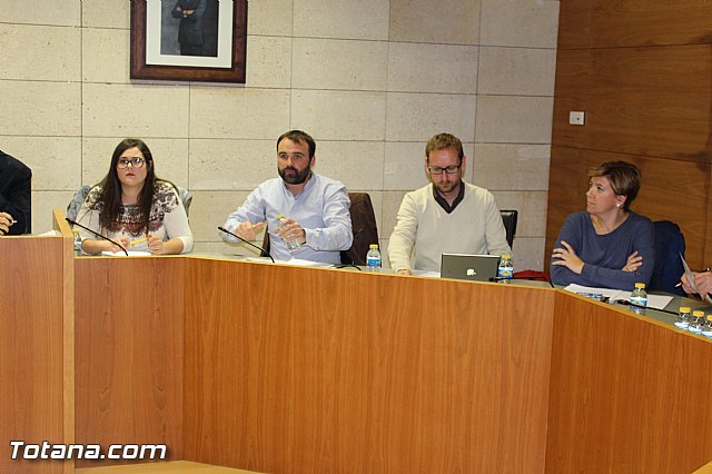 Pleno ordinario noviembre 2015 - 8