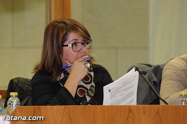 Pleno ordinario noviembre 2015 - 19