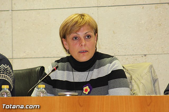 Pleno ordinario noviembre 2015 - 24