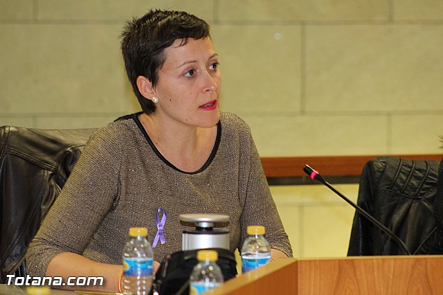 Pleno ordinario noviembre 2015 - 26