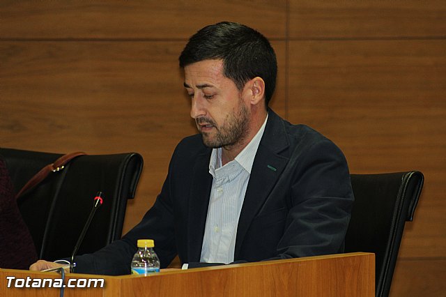 Pleno ordinario noviembre 2015 - 28