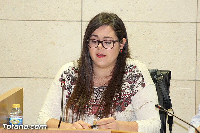 Pleno ordinario noviembre 2015 - 33