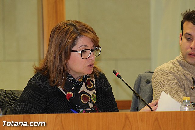 Pleno ordinario noviembre 2015 - 35