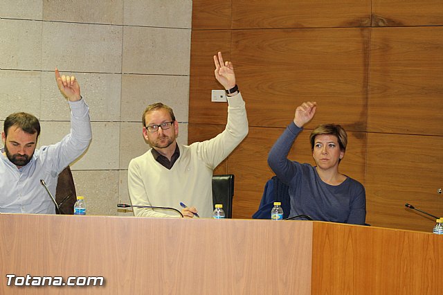Pleno ordinario noviembre 2015 - 40
