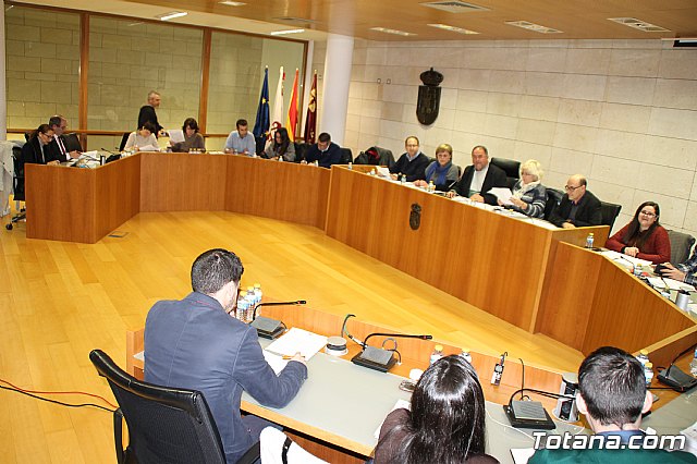 Pleno ordinario enero 2017 - 1