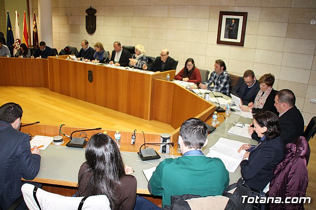 Pleno ordinario enero 2017 - 2