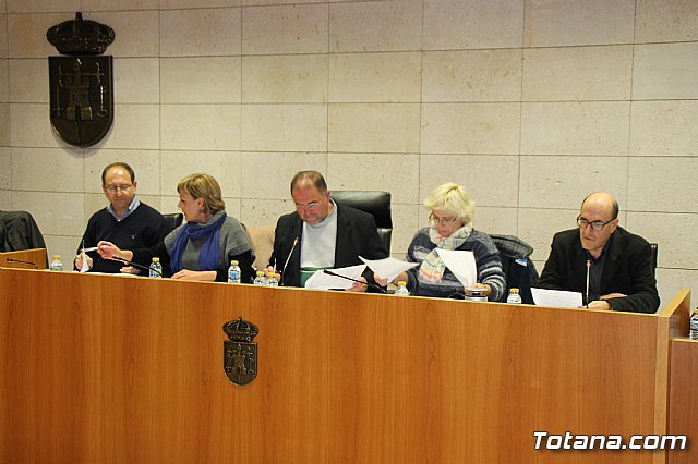 Pleno ordinario enero 2017 - 3