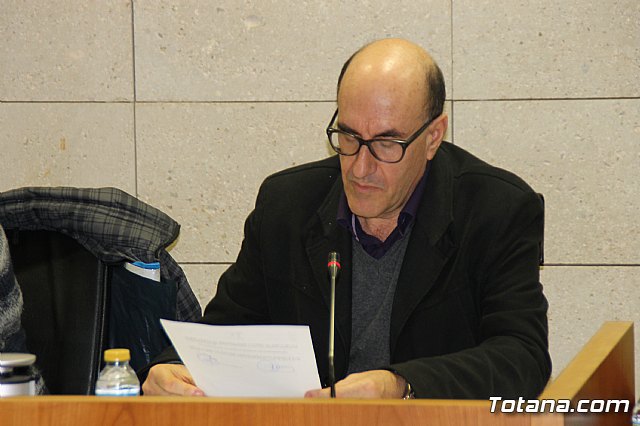 Pleno ordinario enero 2017 - 4