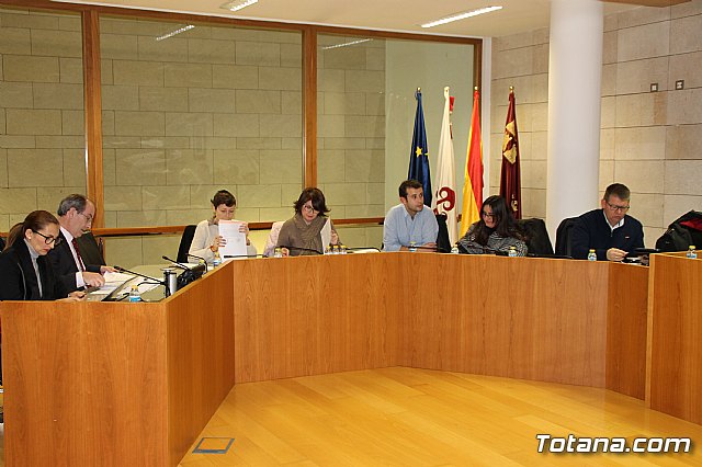 Pleno ordinario enero 2017 - 5