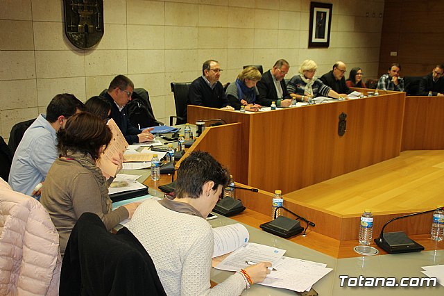 Pleno ordinario enero 2017 - 7