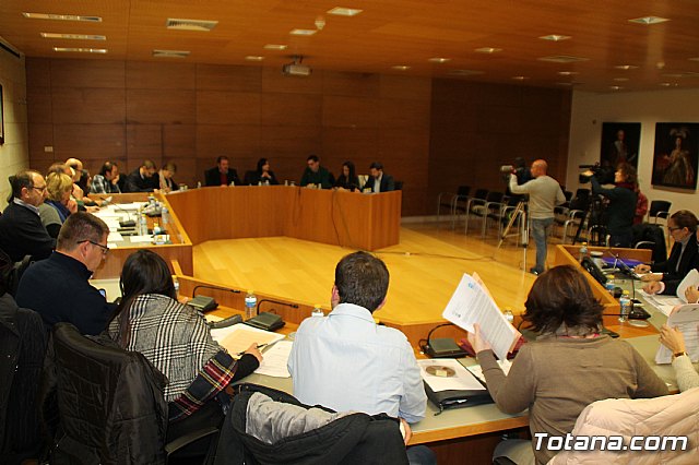 Pleno ordinario enero 2017 - 8