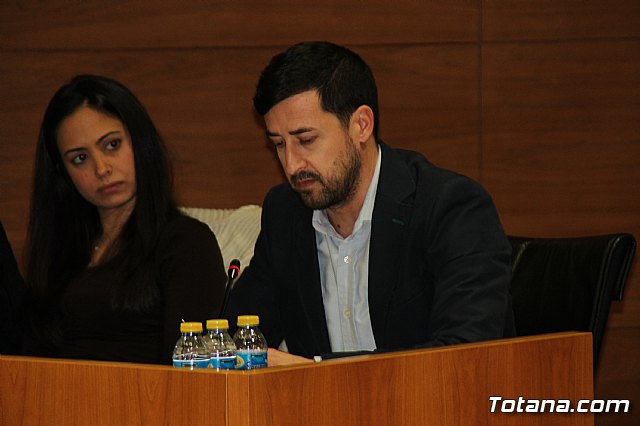 Pleno ordinario enero 2017 - 11