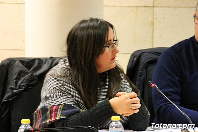 Pleno ordinario enero 2017 - 12