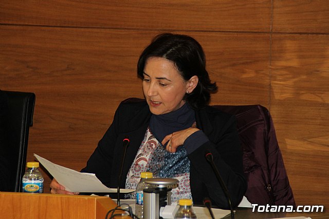 Pleno ordinario enero 2017 - 13