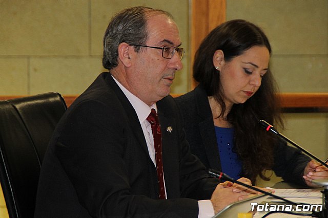 Pleno ordinario enero 2017 - 15