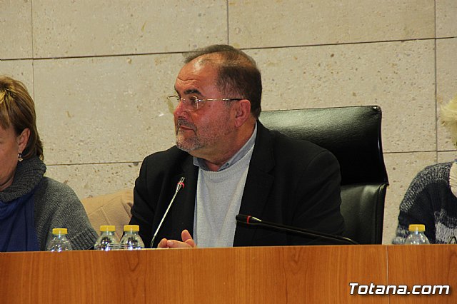 Pleno ordinario enero 2017 - 16