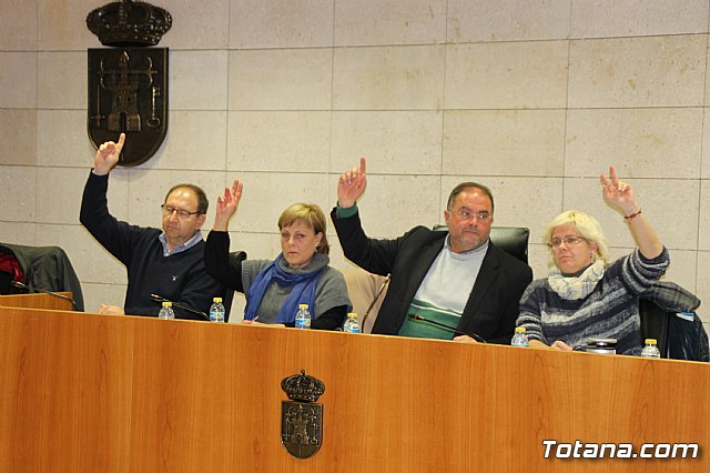 Pleno ordinario enero 2017 - 18